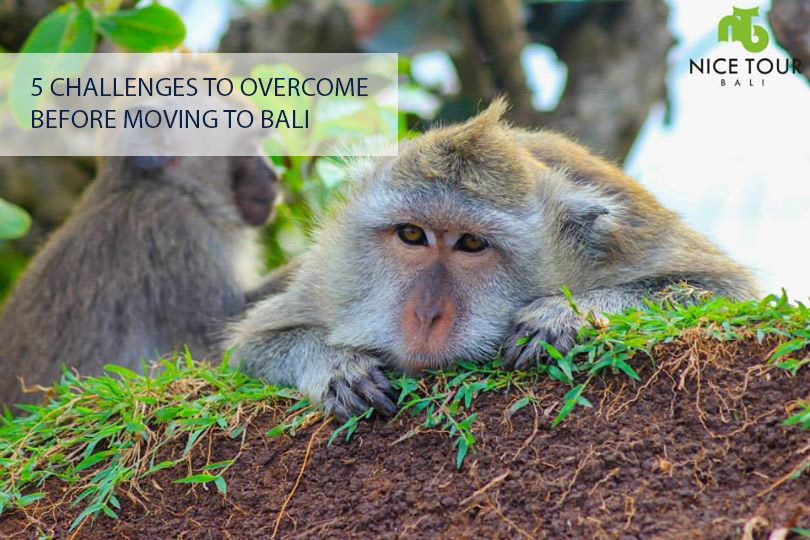 5 Challenges To Overcome Before Moving To Bali