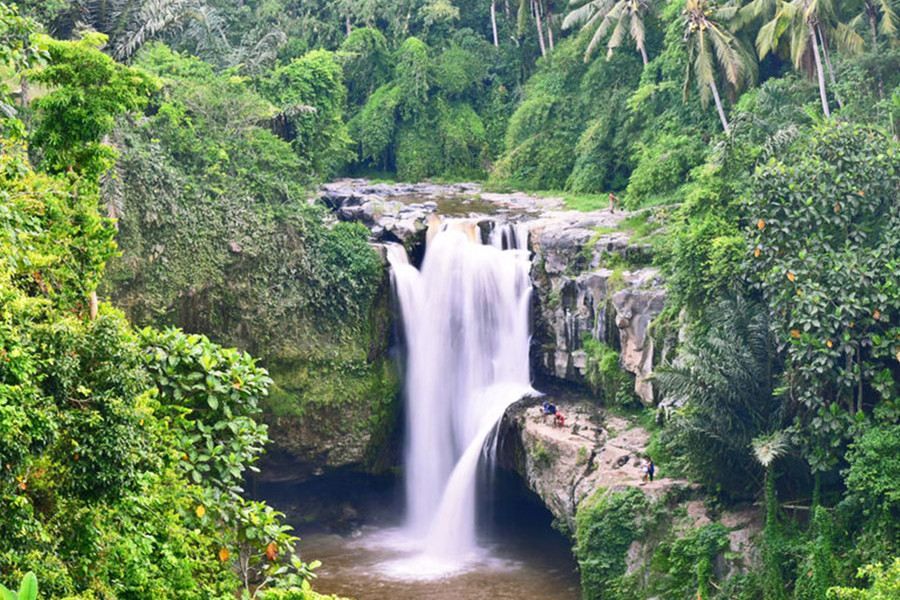 Tegenungan Waterfall Tour Ubud